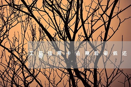 工商信用卡逾期后最低还款 工商信用卡逾期后最低还款