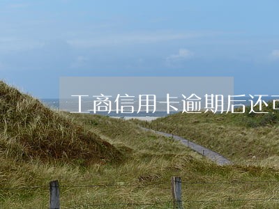 工商信用卡逾期后还可以分期吗