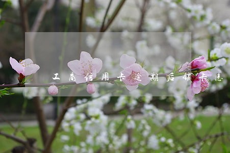 工商信用卡逾期后销卡怎么还款 工商信用卡逾期后销卡怎么还款