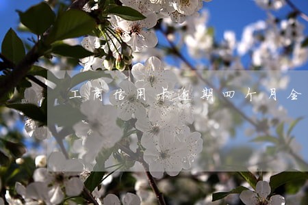 工商信用卡逾期四个月全额还款