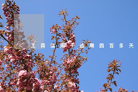 工商信用卡逾期四百多天
