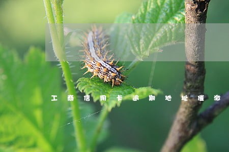 工商信用卡逾期地址催激 工商信用卡逾期地址催激