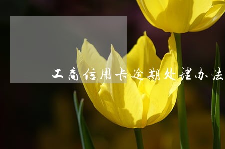 工商信用卡逾期处理办法中国 工商信用卡逾期处理办法中国