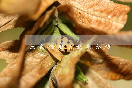 工商信用卡逾期外访 工商信用卡逾期外访