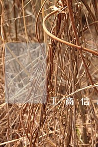 工商信用卡逾期多久产生逾期费 工商信用卡逾期多久产生逾期费