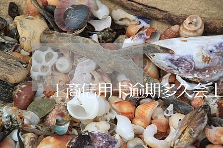 工商信用卡逾期多久会上征信 工商信用卡逾期多久会上征信