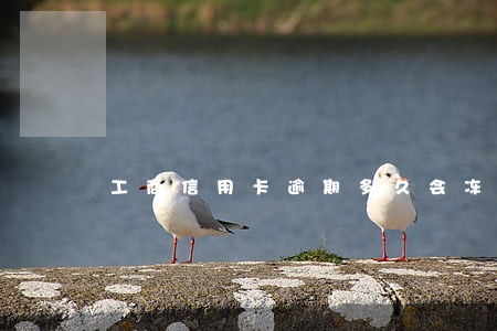 工商信用卡逾期多久会冻结 工商信用卡逾期多久会冻结