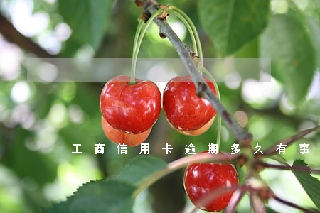 工商信用卡逾期多久有事 工商信用卡逾期多久有事