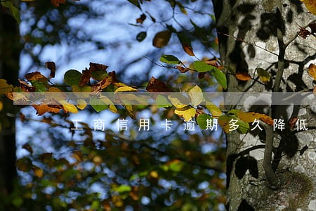 工商信用卡逾期多久降低额度