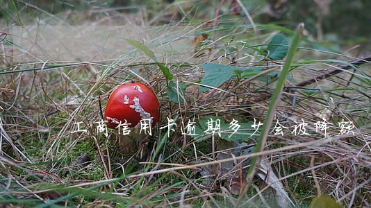 工商信用卡逾期多少会被降额 工商信用卡逾期多少会被降额