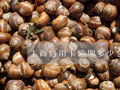 工商信用卡逾期多少会起诉 工商信用卡逾期多少会起诉