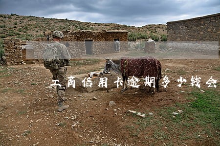 工商信用卡逾期多少钱会上门 工商信用卡逾期多少钱会上门