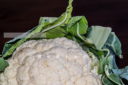 工商信用卡逾期多年才联系我