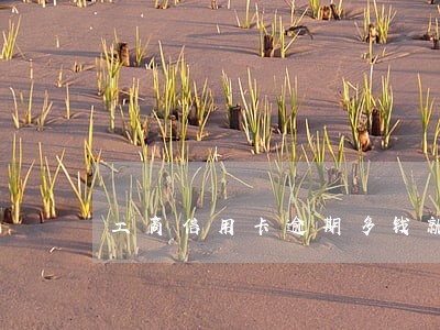 工商信用卡逾期多钱就会冻结 工商信用卡逾期多钱就会冻结