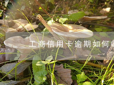 工商信用卡逾期如何收利息