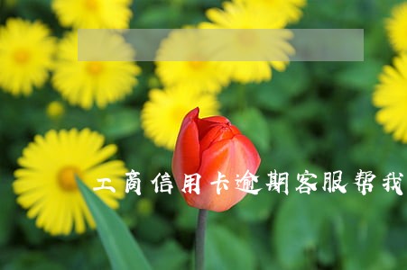 工商信用卡逾期客服帮我登记 工商信用卡逾期客服帮我登记
