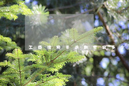 工商信用卡逾期宽容多少天 工商信用卡逾期宽容多少天