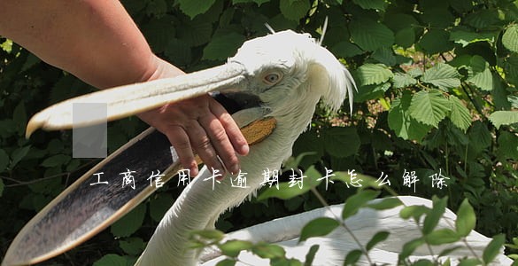 工商信用卡逾期封卡怎么解除 工商信用卡逾期封卡怎么解除