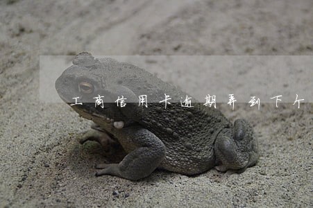 工商信用卡逾期弄到下个月了 工商信用卡逾期弄到下个月了