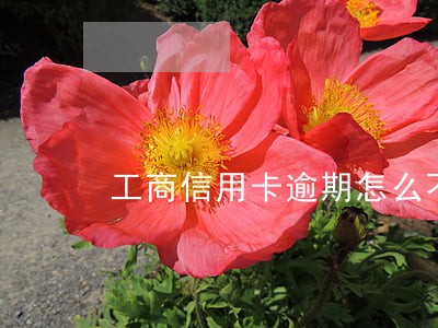 工商信用卡逾期怎么不影响征信 工商信用卡逾期怎么不影响征信