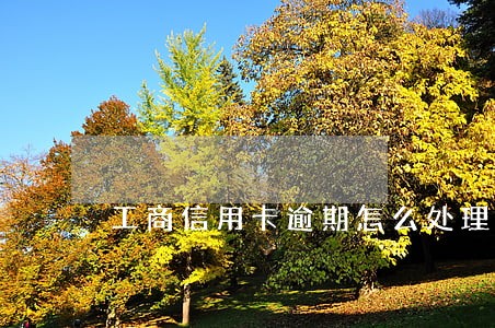工商信用卡逾期怎么处理最好