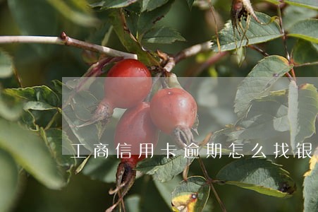 工商信用卡逾期怎么找银行协商 工商信用卡逾期怎么找银行协商