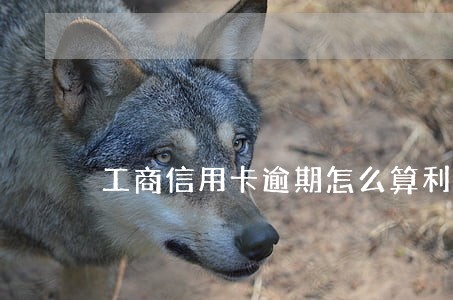 工商信用卡逾期怎么算利息费的 工商信用卡逾期怎么算利息费的