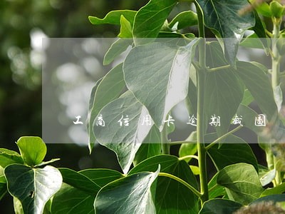 工商信用卡逾期截图