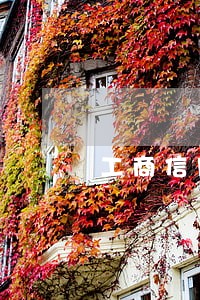 工商信用卡逾期打什么协商 工商信用卡逾期打什么协商