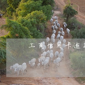 工商信用卡逾期打哪个电话协商 工商信用卡逾期打哪个电话协商