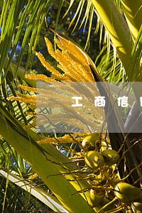 工商信用卡逾期打联系人 工商信用卡逾期打联系人