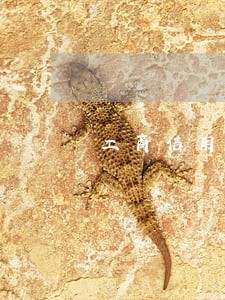 工商信用卡逾期扣工资 工商信用卡逾期扣工资