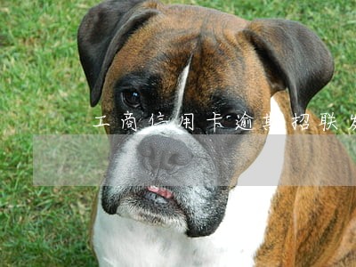 工商信用卡逾期招联发信息 工商信用卡逾期招联发信息