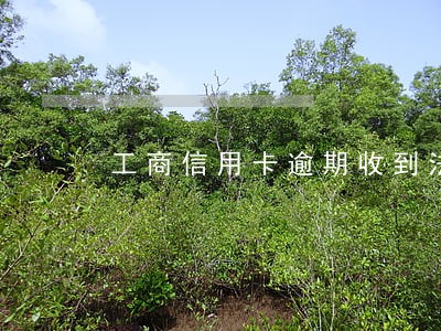 工商信用卡逾期收到法院传票 工商信用卡逾期收到法院传票