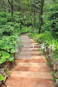 工商信用卡逾期教材 工商信用卡逾期教材