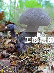 工商信用卡逾期无额度 工商信用卡逾期无额度