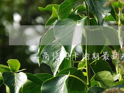 工商信用卡逾期最新规定上海 工商信用卡逾期最新规定上海