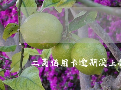 工商信用卡逾期没上征信