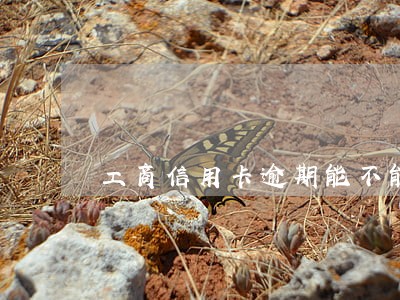 工商信用卡逾期能不能减免利息