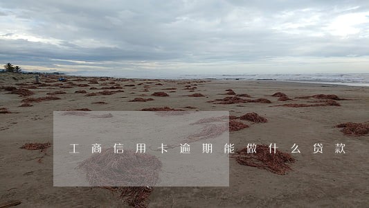 工商信用卡逾期能做什么贷款 工商信用卡逾期能做什么贷款