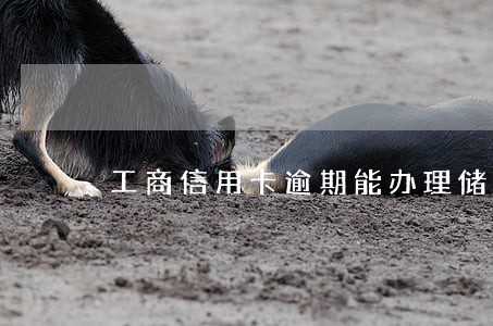 工商信用卡逾期能办理储蓄卡么 工商信用卡逾期能办理储蓄卡么