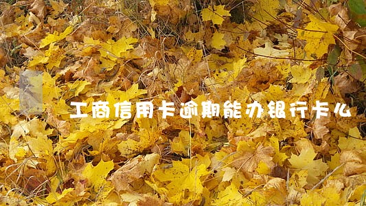 工商信用卡逾期能办银行卡么