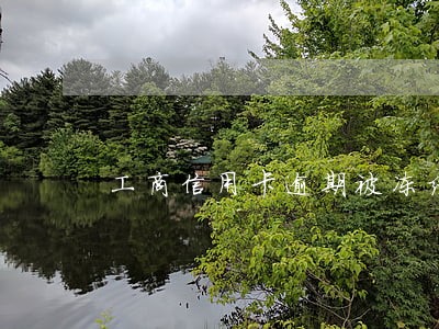 工商信用卡逾期被冻结 工商信用卡逾期被冻结