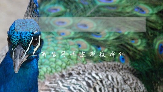 工商信用卡逾期被诉讼 工商信用卡逾期被诉讼