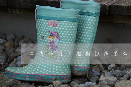 工商信用卡逾期被降怎么办 工商信用卡逾期被降怎么办