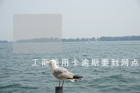 工商信用卡逾期要到网点协商 工商信用卡逾期要到网点协商