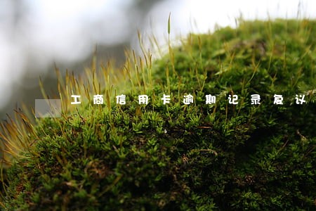 工商信用卡逾期记录复议 工商信用卡逾期记录复议