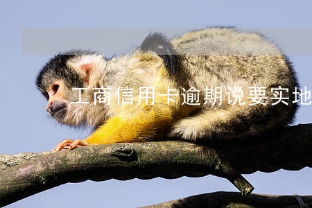 工商信用卡逾期说要实地考察