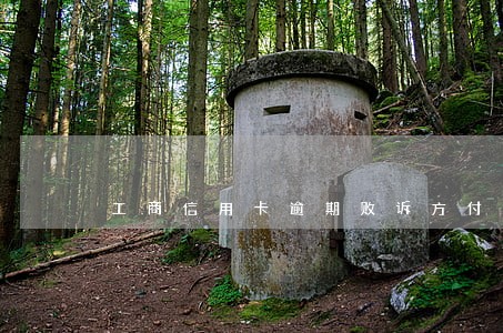 工商信用卡逾期败诉方付律师费 工商信用卡逾期败诉方付律师费