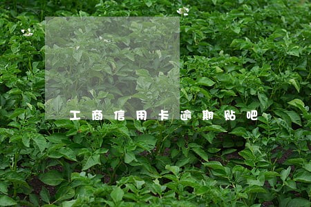 工商信用卡逾期贴吧 工商信用卡逾期贴吧